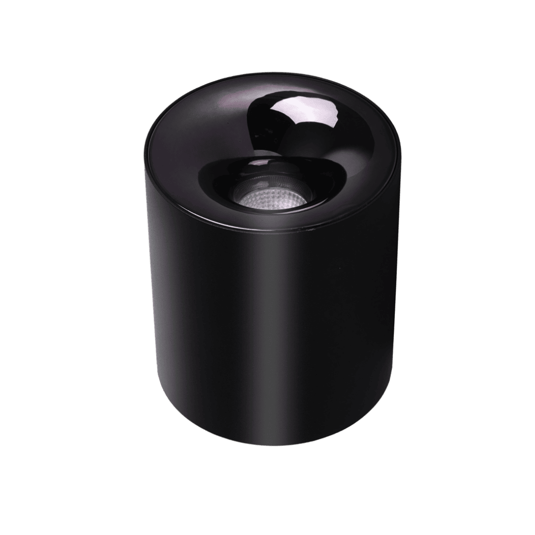 Surface Mounted Lights
