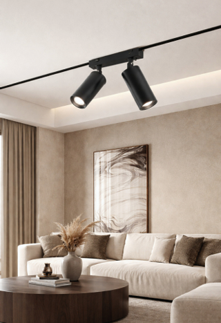 DUAL TRACK LIGHT